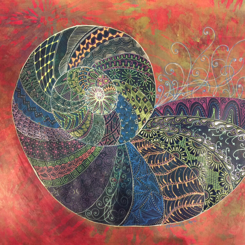 nautilus-shell-square2 nautilus-shell-square2